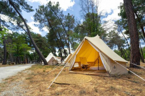Kampaoh La Bolera, Pozo Alcon